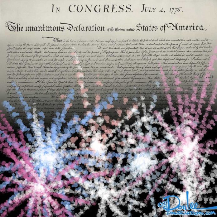 0725 fireworks cartoon web rez (2)