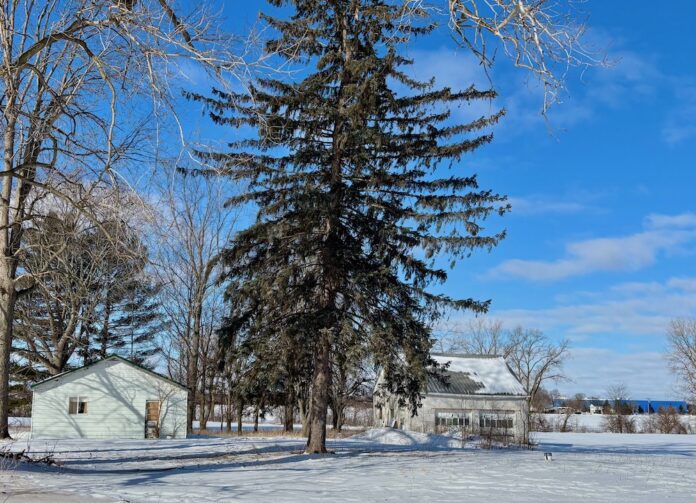 Finzel Road Property1