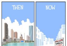 Cartoons by Don Lee: Fake downtowns